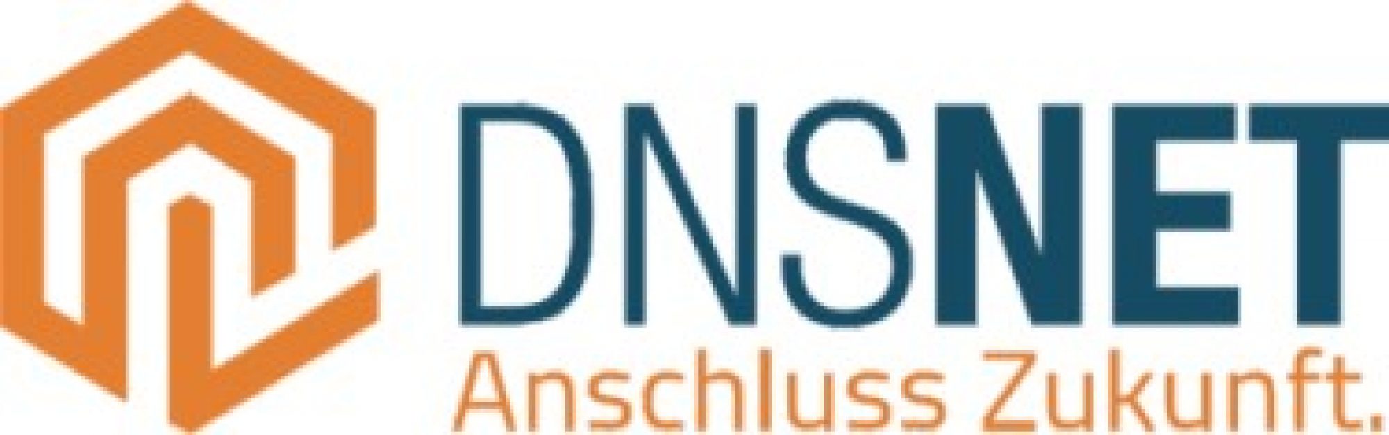 DNS_Net